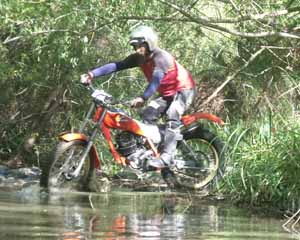 Classic Trials, Honda TLR250